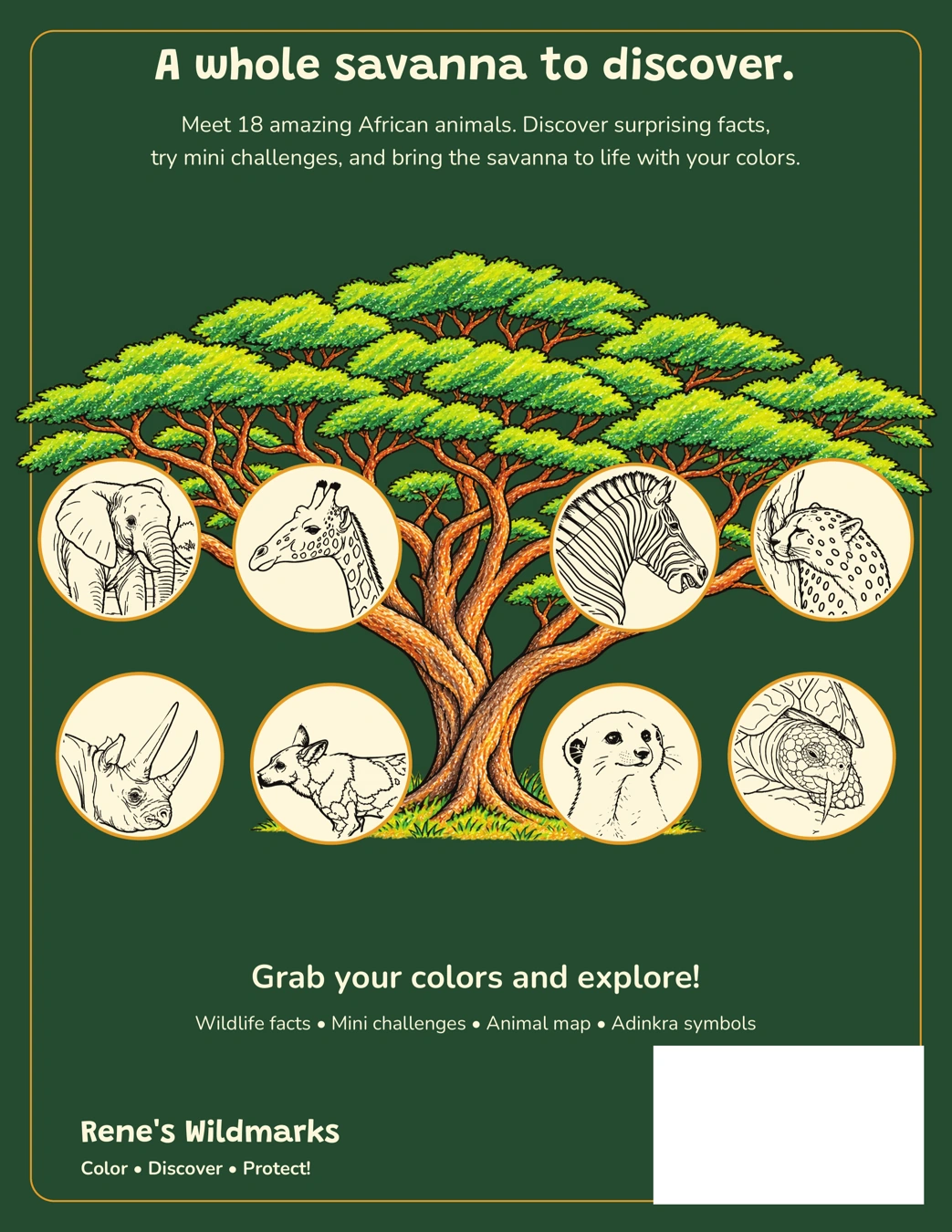 Rene's Wildmarks — African Savanna coloring and activity book, back cover