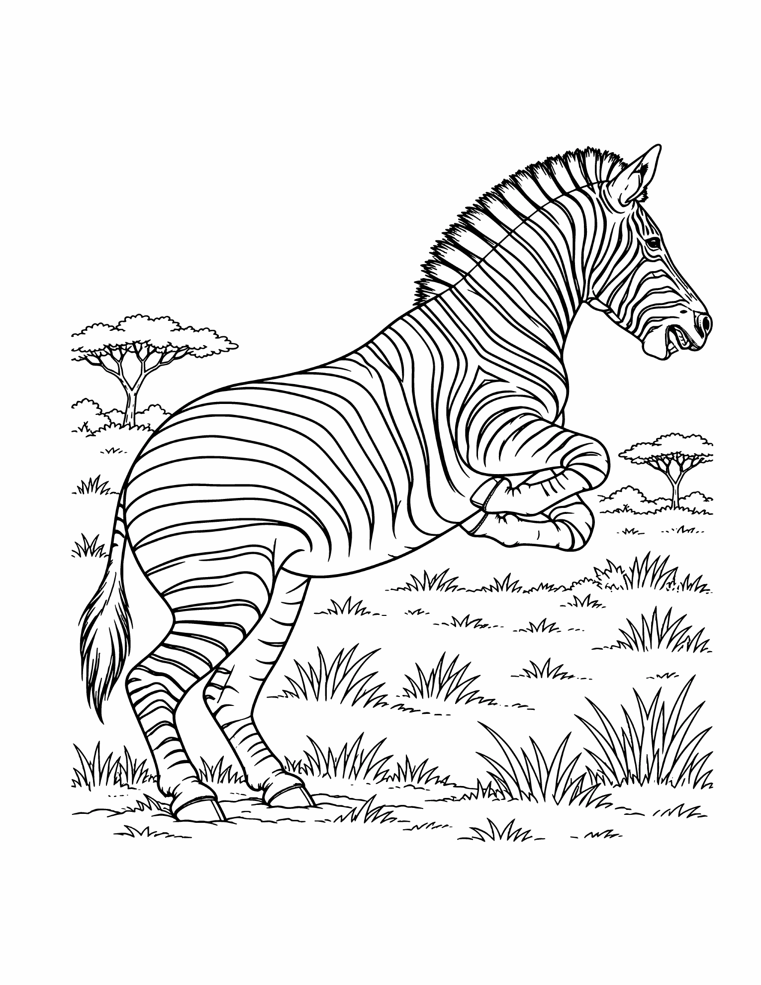 The English coloring page with plains zebras.